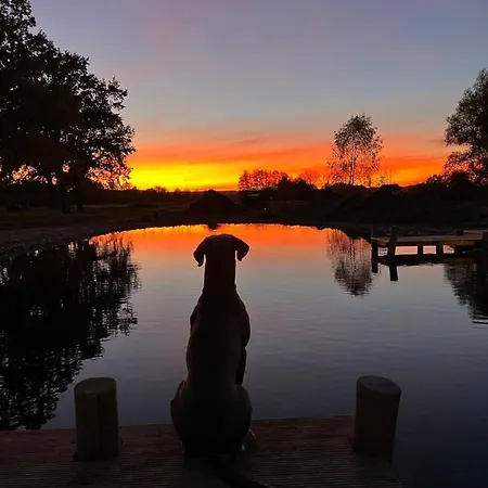 Holiday home Ruedehof Amt Neuhaus