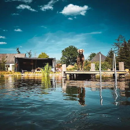 Holiday home Ruedehof Amt Neuhaus